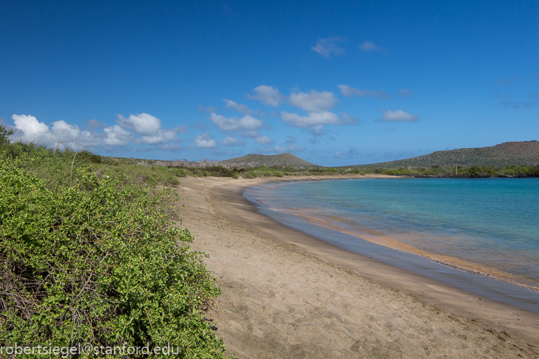 galapagos